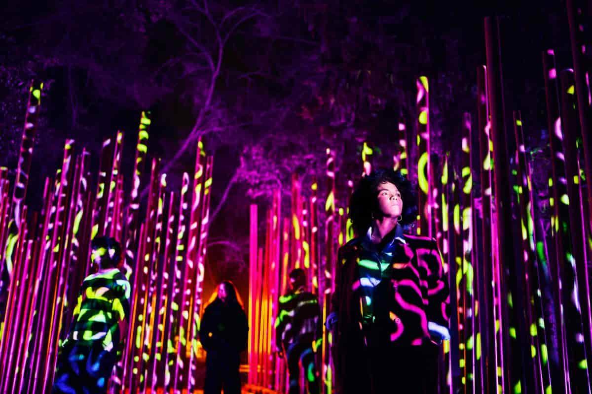 ¡Planes para arrancar el 2026! No te pierdas estos eventos en enero en CDMX