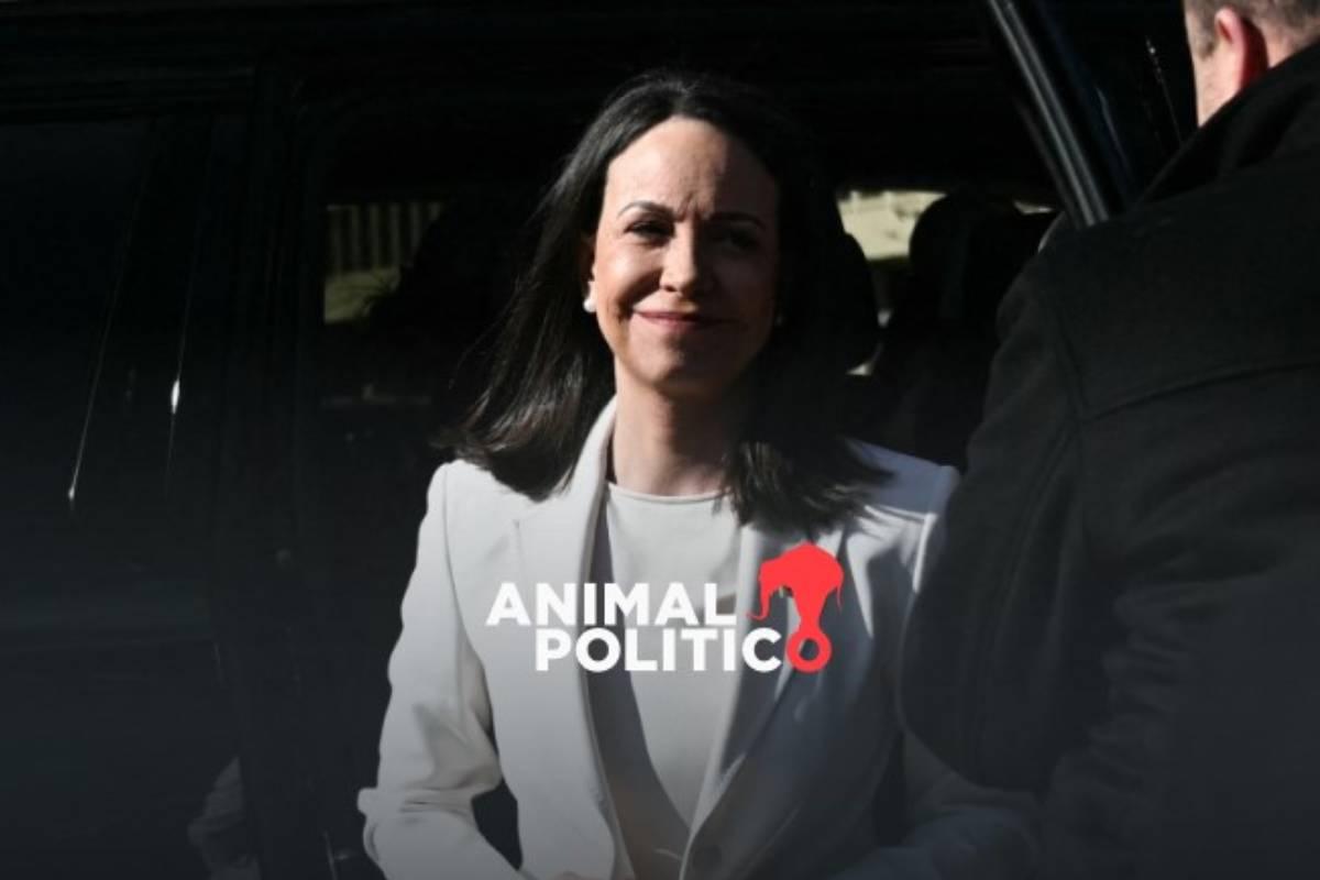 Estados Unidos confía en que habrá elecciones en Venezuela tras reunión de Trump con Corina Machado