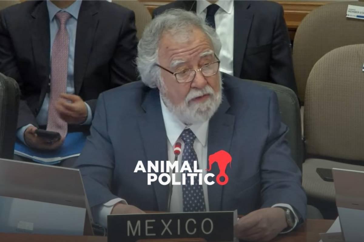 México urge a cesar “actos de agresión” contra Venezuela y expresa ante OEA su preocupación por amenazas de EU a más países