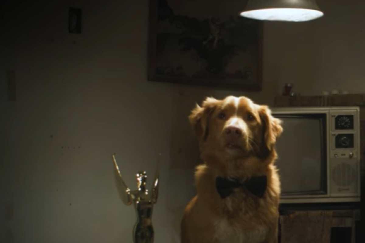 Indy hace historia: el primer perro en ganar un Premio Astra por actuación de terror