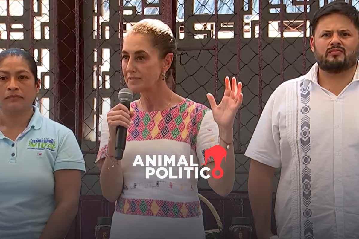“Buscamos soberanía y no depender de exterior”, Sheinbaum destaca fortalecimiento al campo
