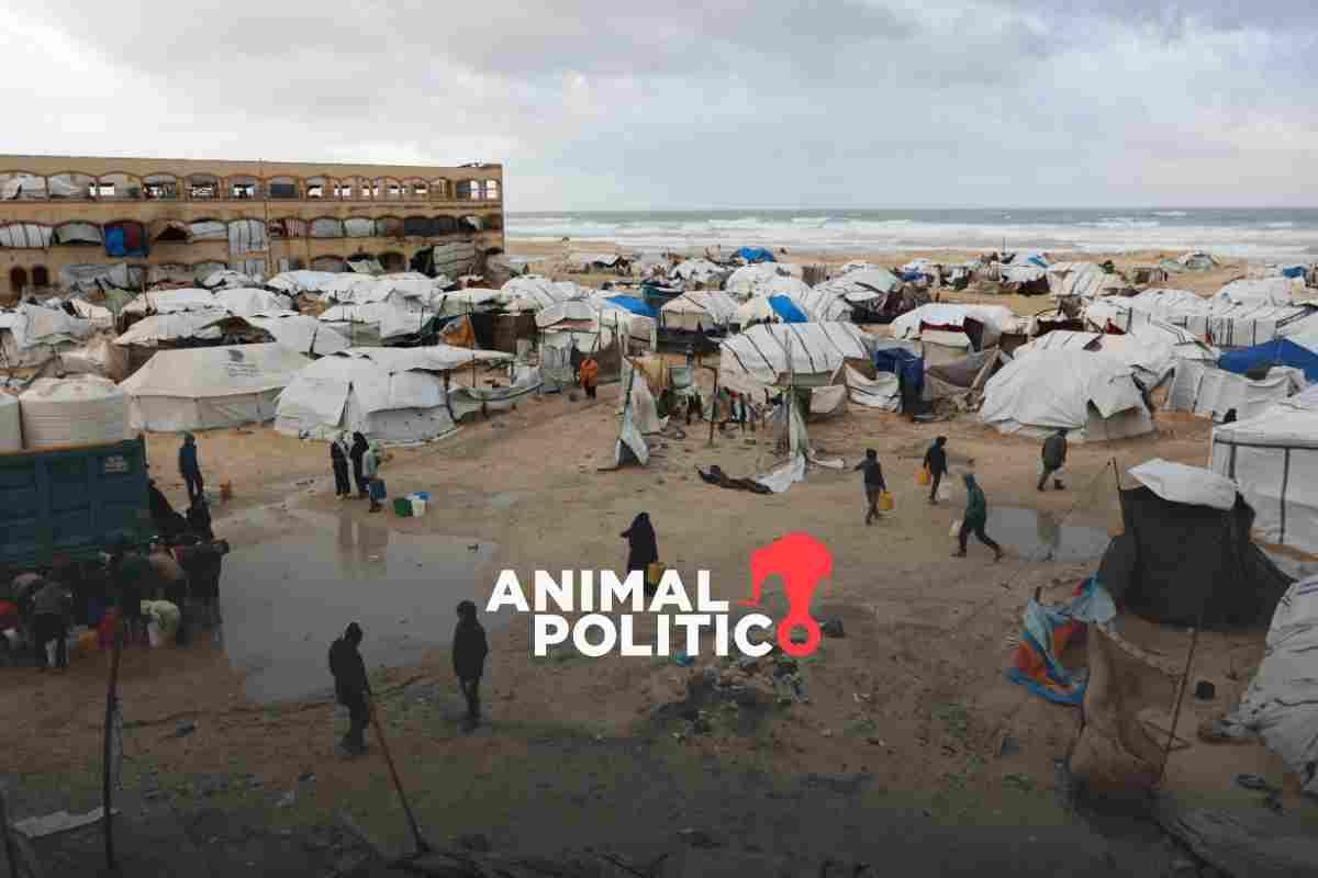 Trump anuncia creación de “consejo de paz” para Gaza