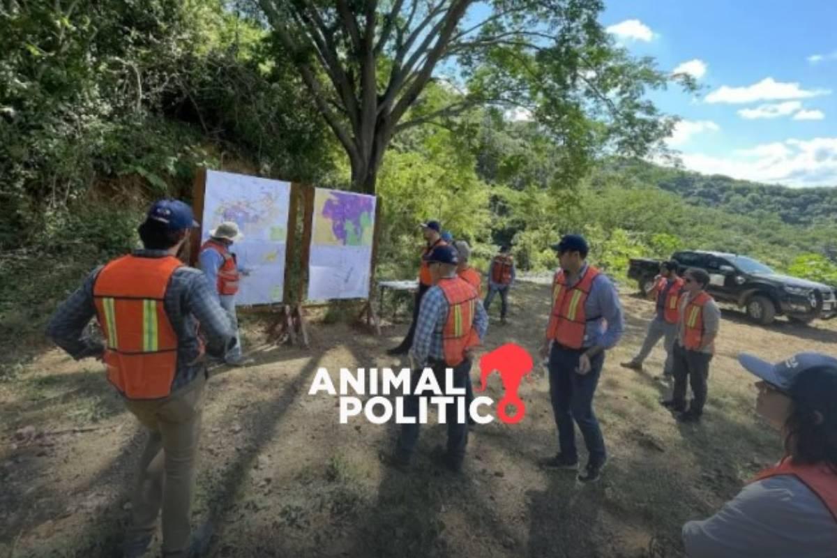 Empresa canadiense dice que familiares de mineros comunicaron que varios fueron hallados sin vida en Concordia, Sinaloa