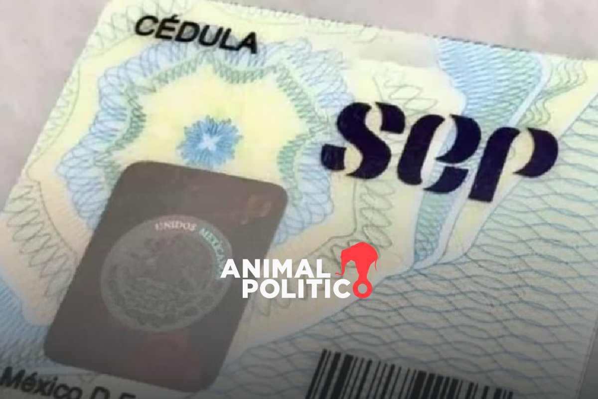 Adiós a la cédula profesional como identificación: ya no es válida para trámites