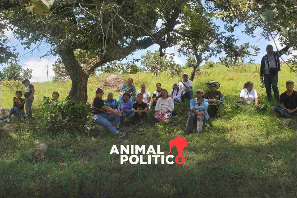 Proteger la tierra como las ancestras: defensoras en Morelos luchan por la cancelación de mina que contaminaría su comunidad