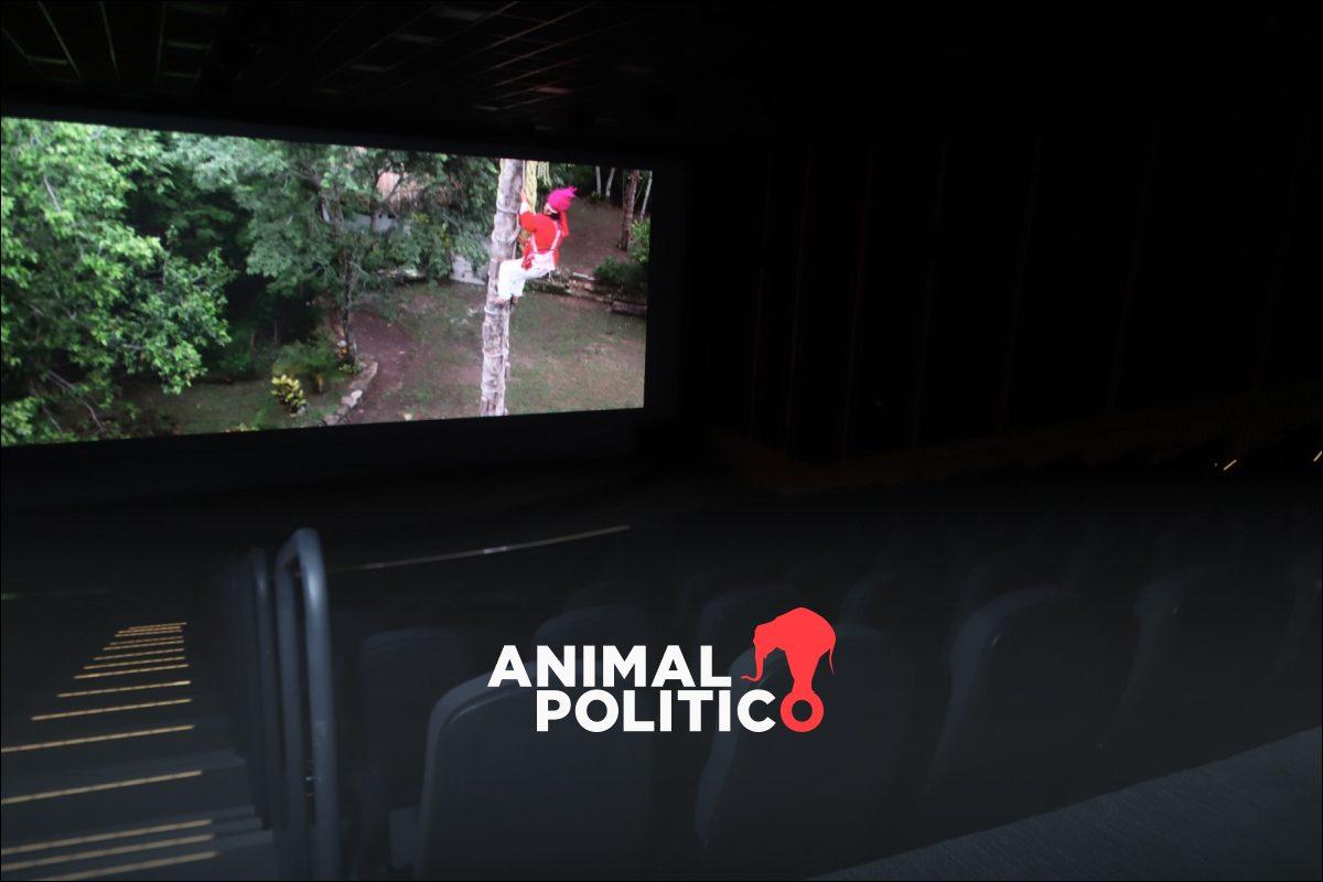 Gobierno propone garantizar 10% de exhibición de cine nacional en salas y regular uso de voces con IA para proteger al doblaje