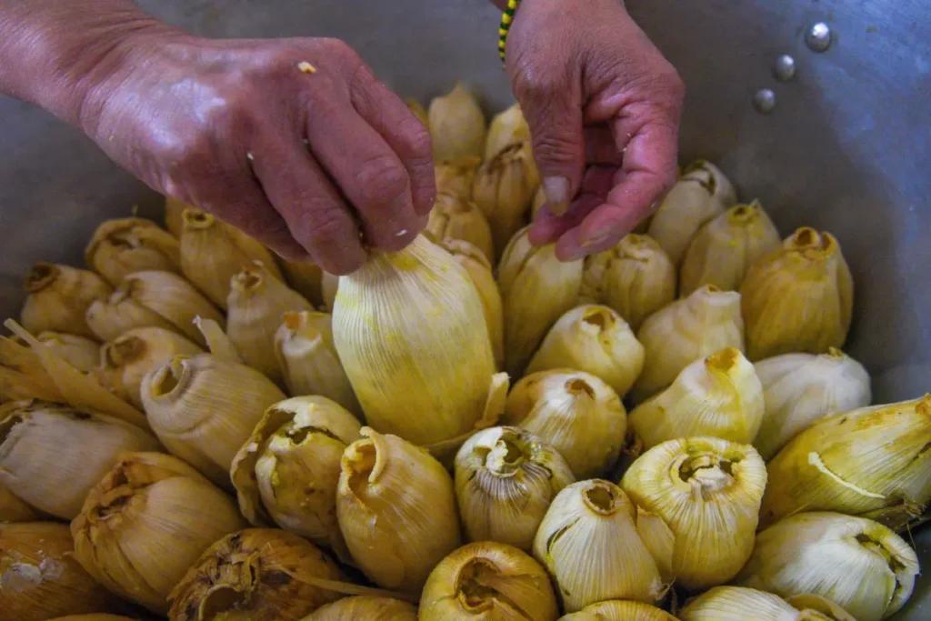 Celebra el Día de la Candelaria en Los Pinos: Habrá más de 80 variedades de tamales (clásicos, veganos y con insectos)