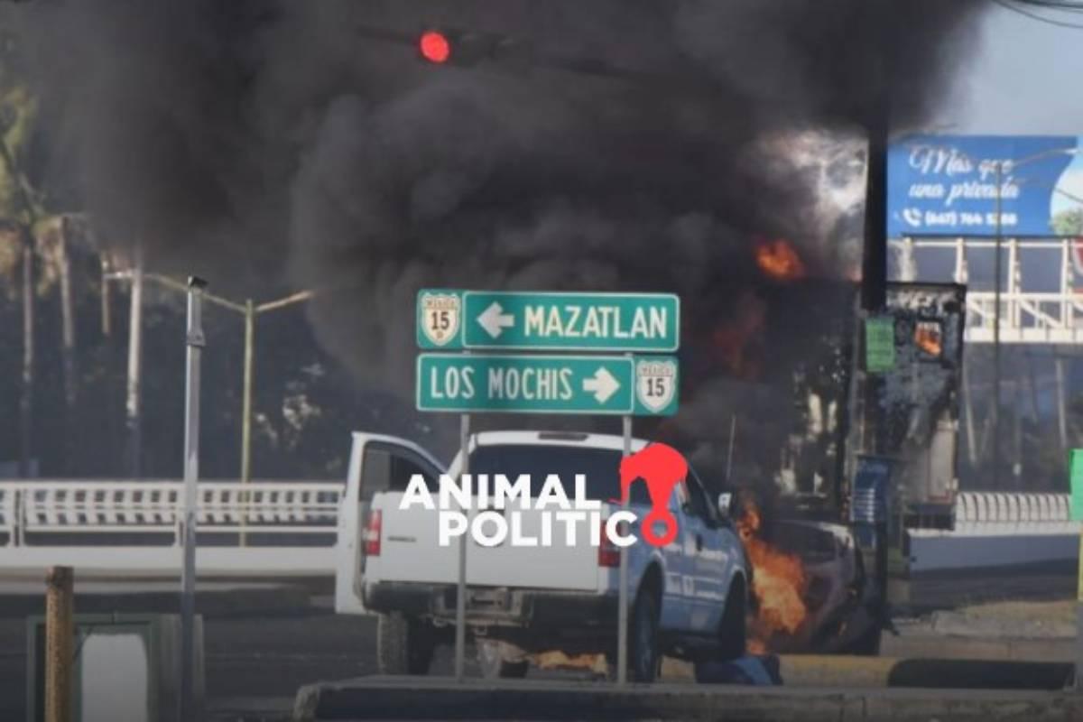 EU acusa a Jesús Ibarra Félix, “El Chuta”, por presunto narcotráfico y liderar un grupo de seguridad para Los Chapitos