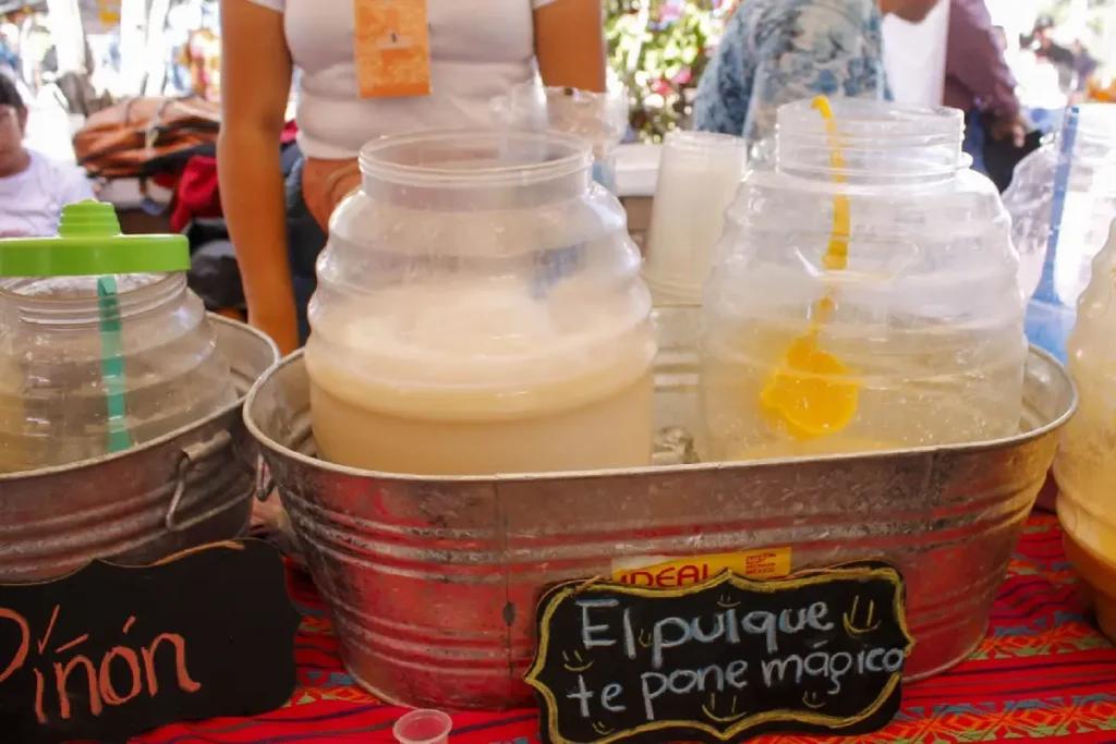 Lánzate al Festival del Pulque, Gastronomía Típica y Mezcal 2026: cuándo y dónde será