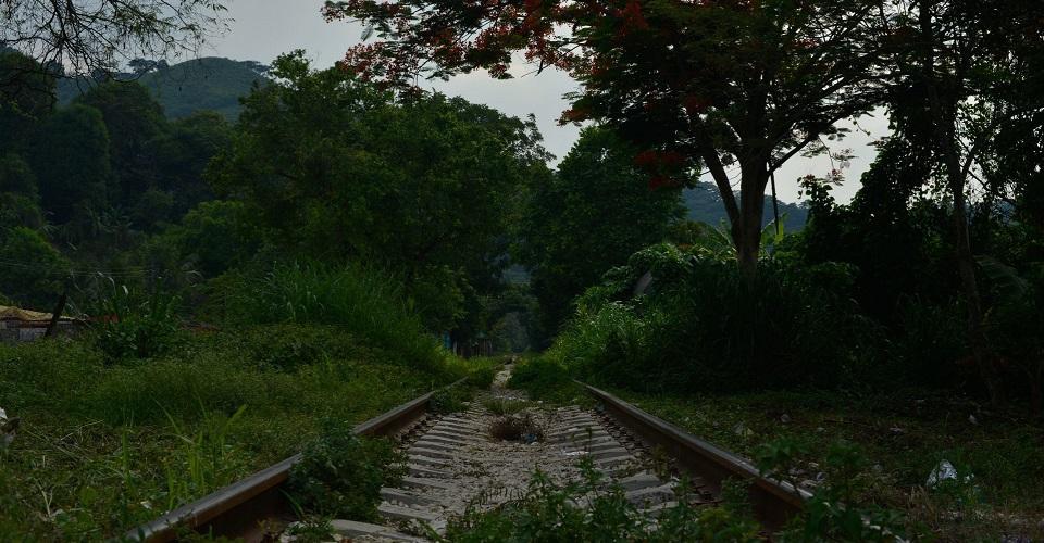 Jueza suspende obras de Tren Maya en tres municipios de Chiapas; Fonatur rechaza resolución