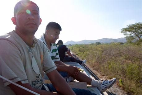 A punta de R-15 bajaron del tren a migrantes en Veracruz: testigos