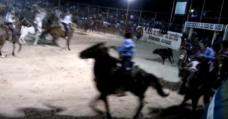 Caballos lesionados o muertos es el saldo de estos torneos tradicionales en Yucatán
