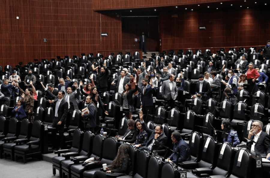 Hora de definiciones por la reforma eléctrica: la Cámara de Diputados se alista para discutirla hoy