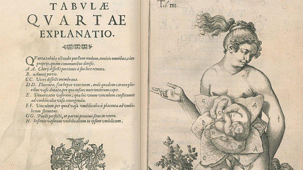 7 excepcionales ilustraciones de la anatomía humana de intrépidos científicos de siglos pasados