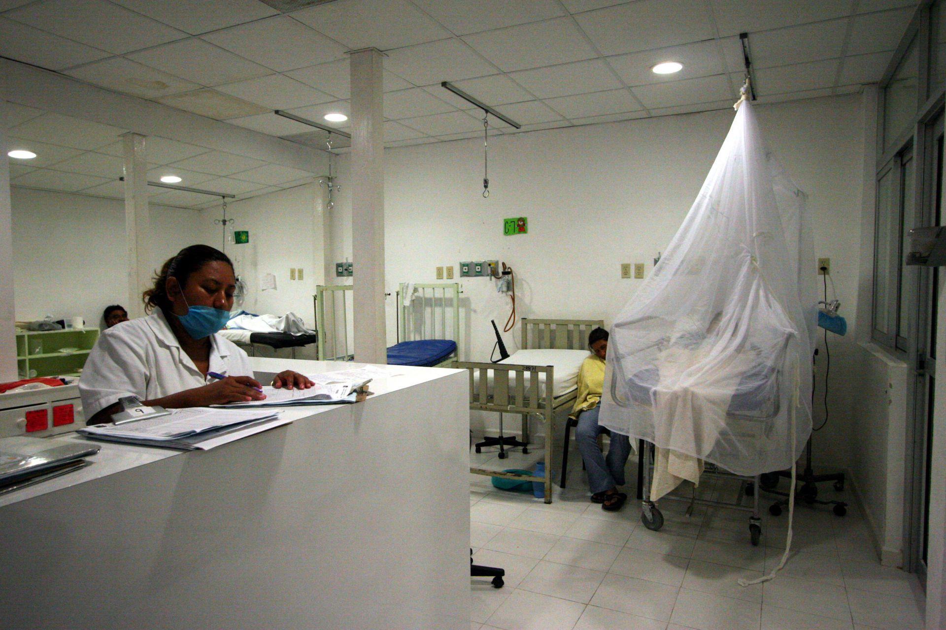 En un mes, México registró 441 casos de dengue, de ellos 233 son graves