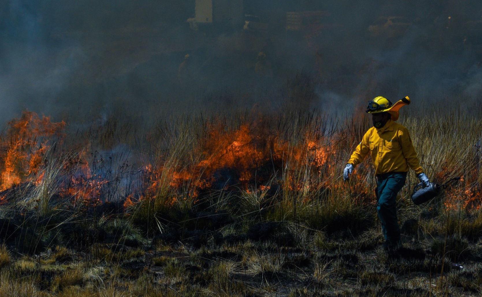 CDMX registra 20 incendios forestales el fin de semana; provocan olor a humo