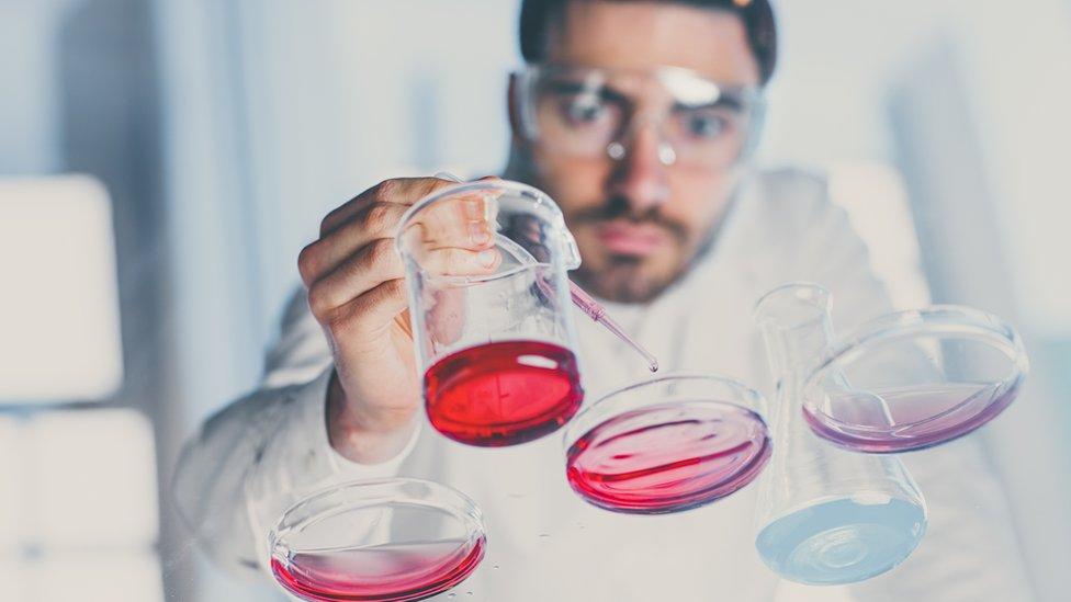 Qué es la ciencia de los orígenes y cómo busca respuestas a los grandes misterios a los que se enfrenta la humanidad