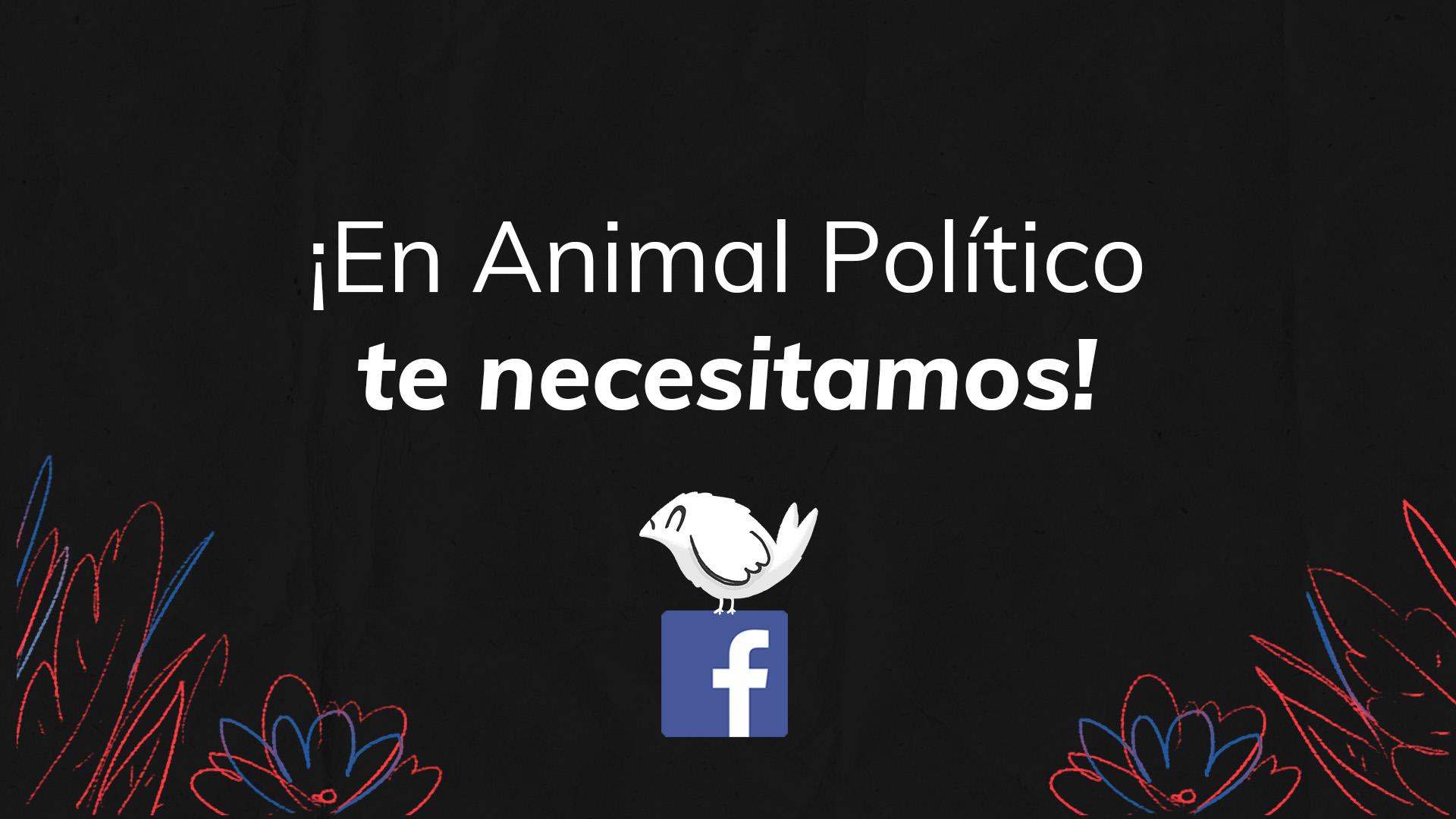 ¡Suscríbete a Animal Político! Con tu apoyo mensual, seguiremos haciendo periodismo independiente