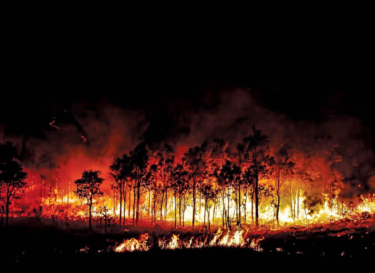 Pesadilla de un verano de humo en EU: los incendios forestales están enfermando a la gente