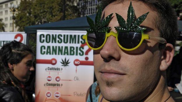 Argentina aprueba el uso medicinal de la mariguana