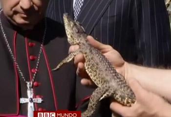 El cocodrilo que tuvo “audiencia” con el Papa, regresa a casa