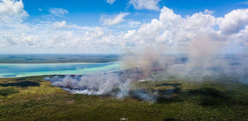 Incendio ya consumió 2,500 hectáreas de la reserva de la biosfera de Sian Ka’an, en QRoo