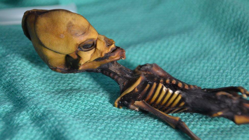 Acusaciones de exhumación ilegal y robo rodean a la pequeña momia hallada en Chile