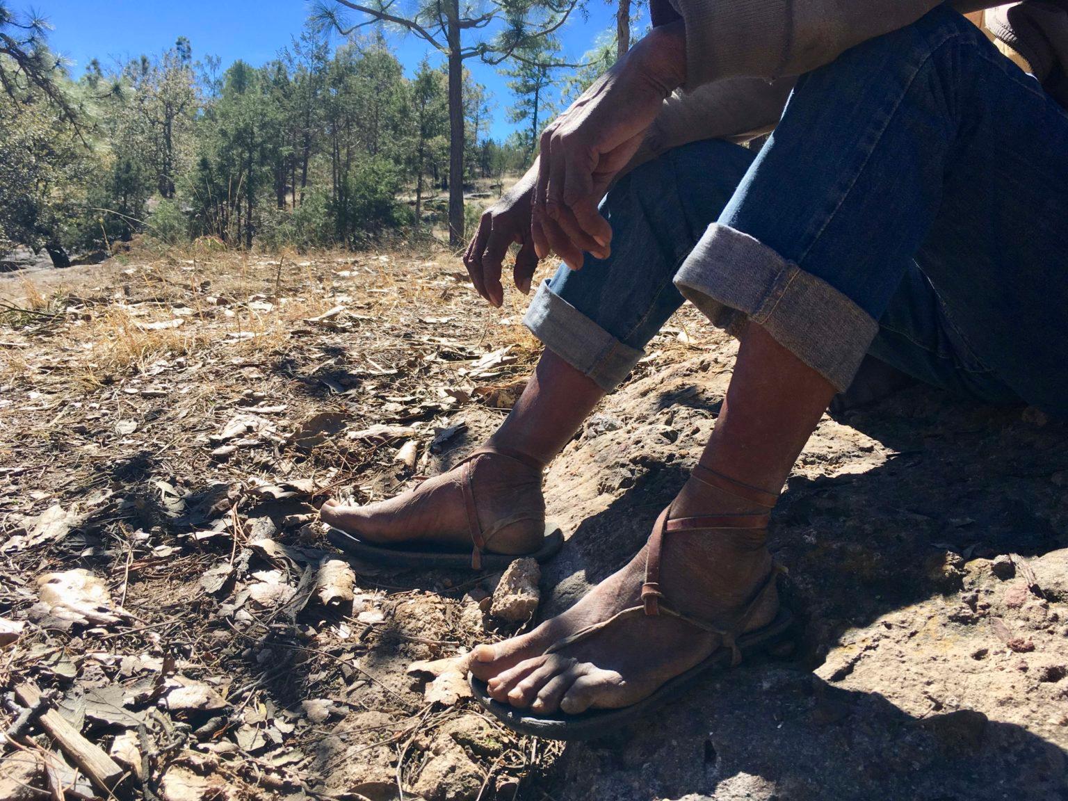 Desplazamiento forzado en la Tarahumara: obligados a dejar su comunidad y su bosque