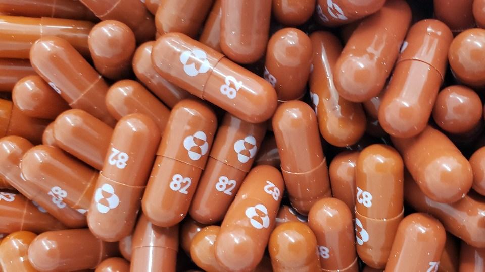 EU autoriza la pastilla contra COVID de Merck para adultos de alto riesgo