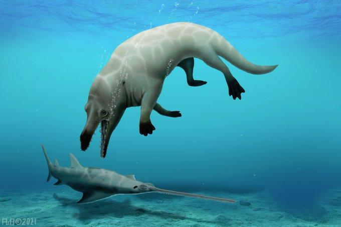 *Una ballena con patas*: así es el fósil hallado en Egipto que nos vuela la cabeza