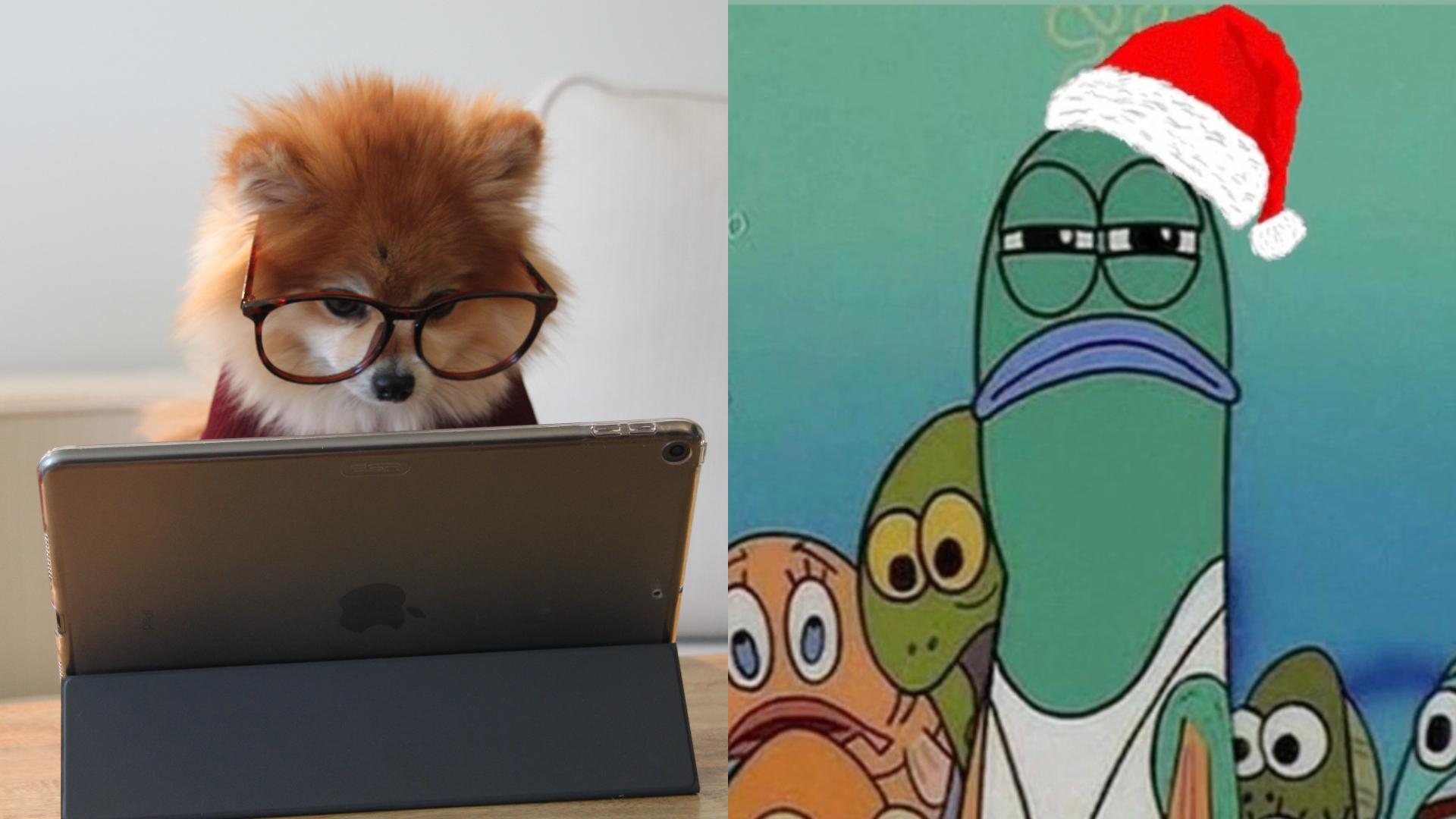¡A jugar con la familia! *Cinco juegos chidos para Navidad que pueden hacer por videollamada*
