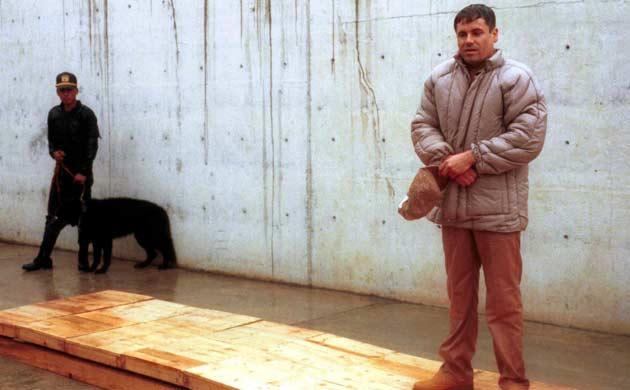 Incautan 116 bienes de “El Chapo” en Colombia