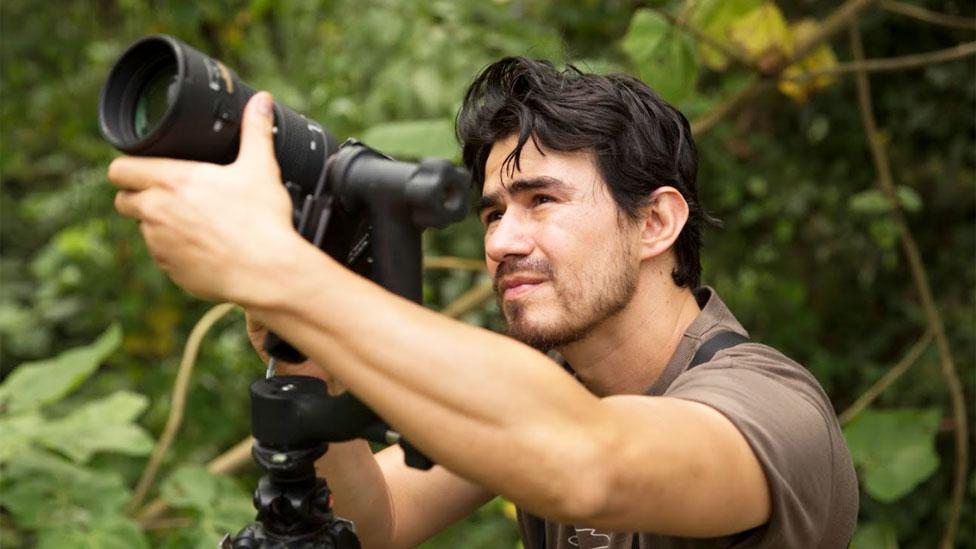 El científico colombiano que creó una flor artificial para descifrar el enigma de los colibríes
