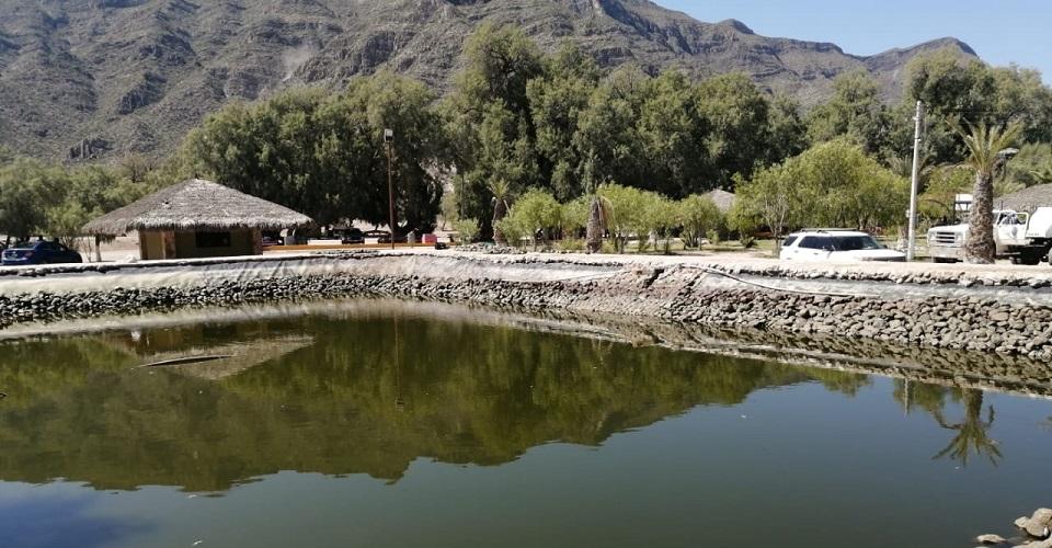 ¿Ecocidio o descuido? Autoridades de Coahuila investigan la muerte de miles de peces en Pueblo Mágico
