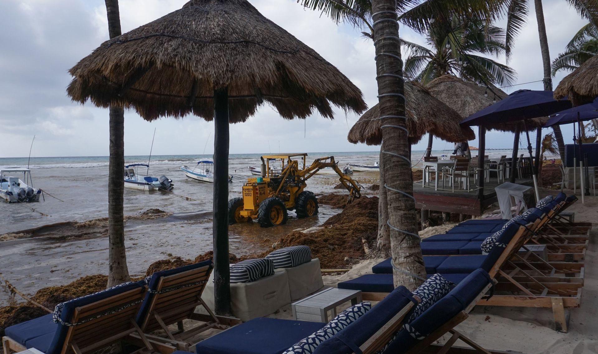 Vacaciones de Semana Santa: estas son las playas del Caribe mexicano más limpias de sargazo y las más afectadas