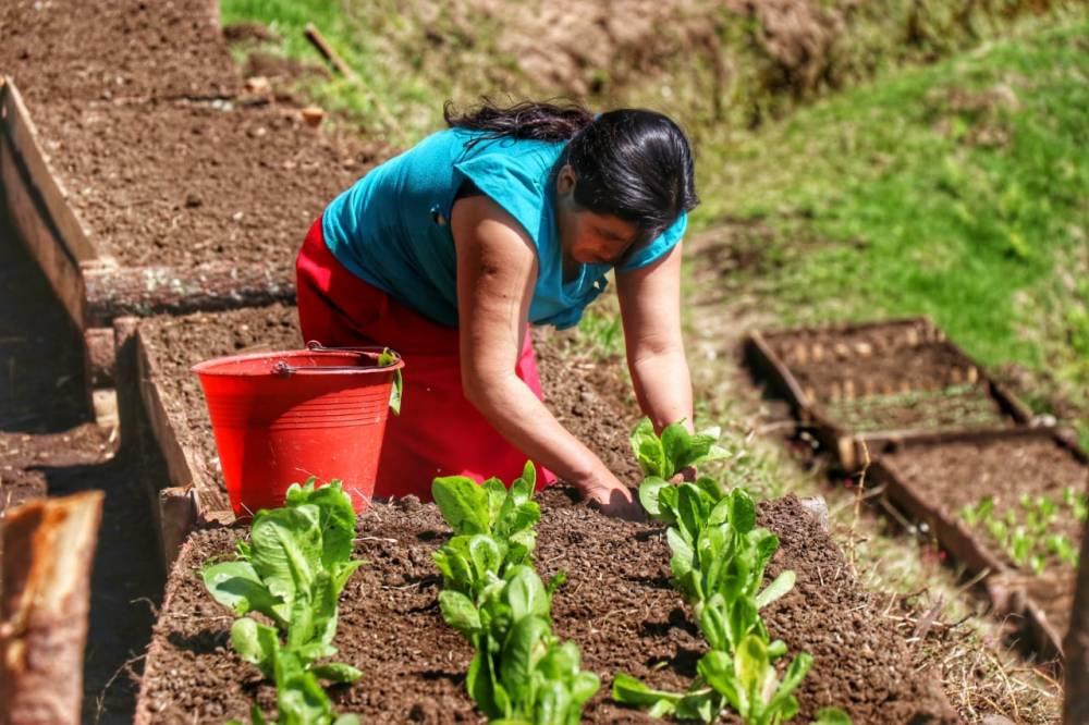 Mujeres de Veracruz siembran hortalizas, pero también su libertad y rompen estereotipos