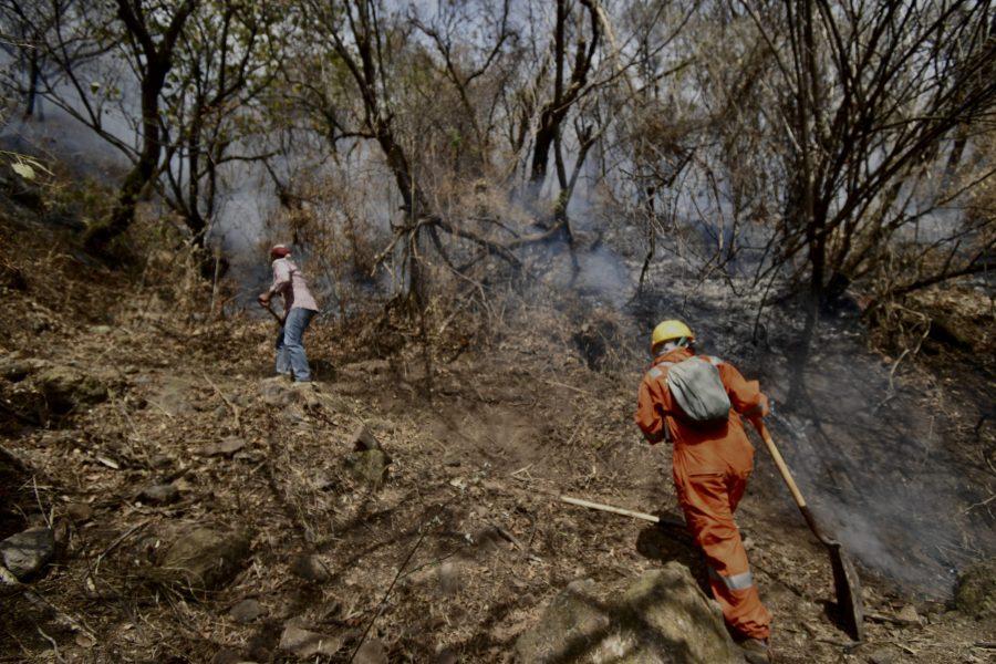 La Profepa denuncia a un hombre por el incendio en el parque del Tepozteco; acusa actos contra la biodiversidad