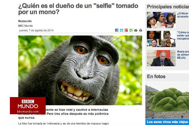 ¿Quién es el dueño de un “selfie” tomado por un mono?