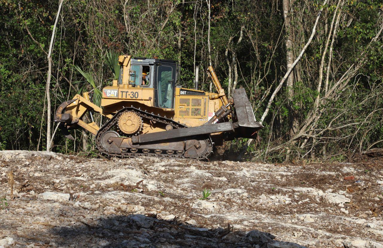 A pesar de daños ‘severos’ a flora y fauna, y riesgo de hundimiento del suelo, el Tramo 5 del Tren Maya es ‘viable’, según la MIA