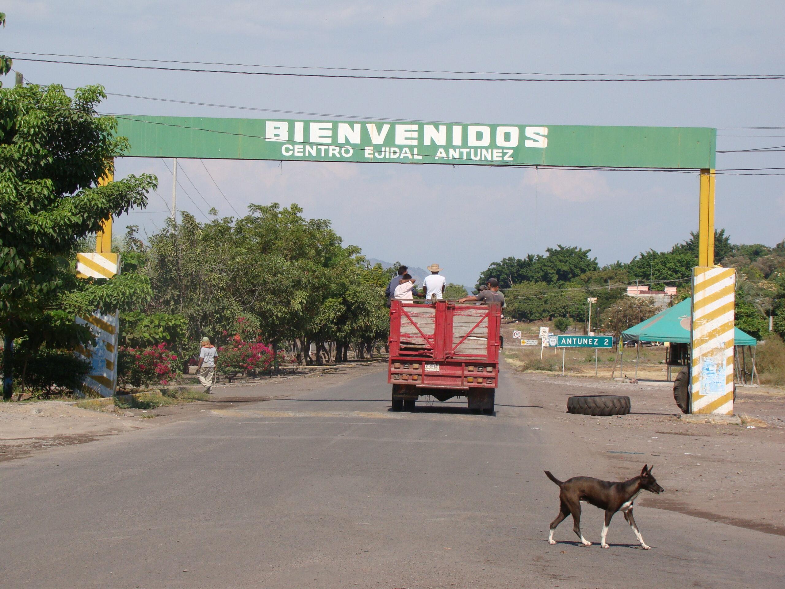 Salir a la calle, un pequeño triunfo en la zona de conflicto de Michoacán