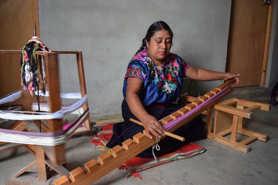 Mujeres sembrando la vida, la cooperativa de Chiapas que empodera a nuevas generaciones