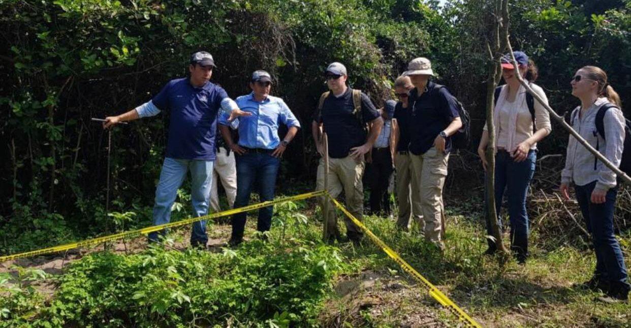 Autoridades han localizado restos de al menos 190 personas en fosas de la Laguna, Veracruz