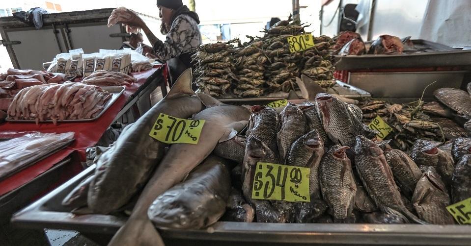 No sabes lo que comes: a tu mesa llega la pesca ilegal y la sobreexplotación de especies