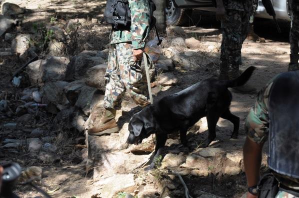 Fuerzas federales hallan nueva fosa en Cocula