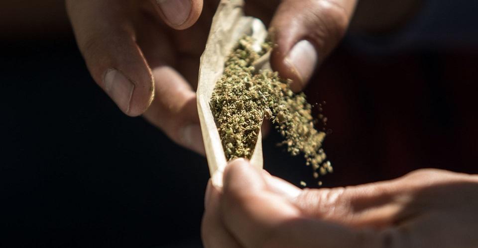 Aprueban en comisiones del Senado dictamen que permite portar hasta 28 gramos de mariguana