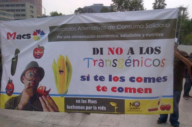 Marchan en DF contra Monsanto y el maíz transgénico