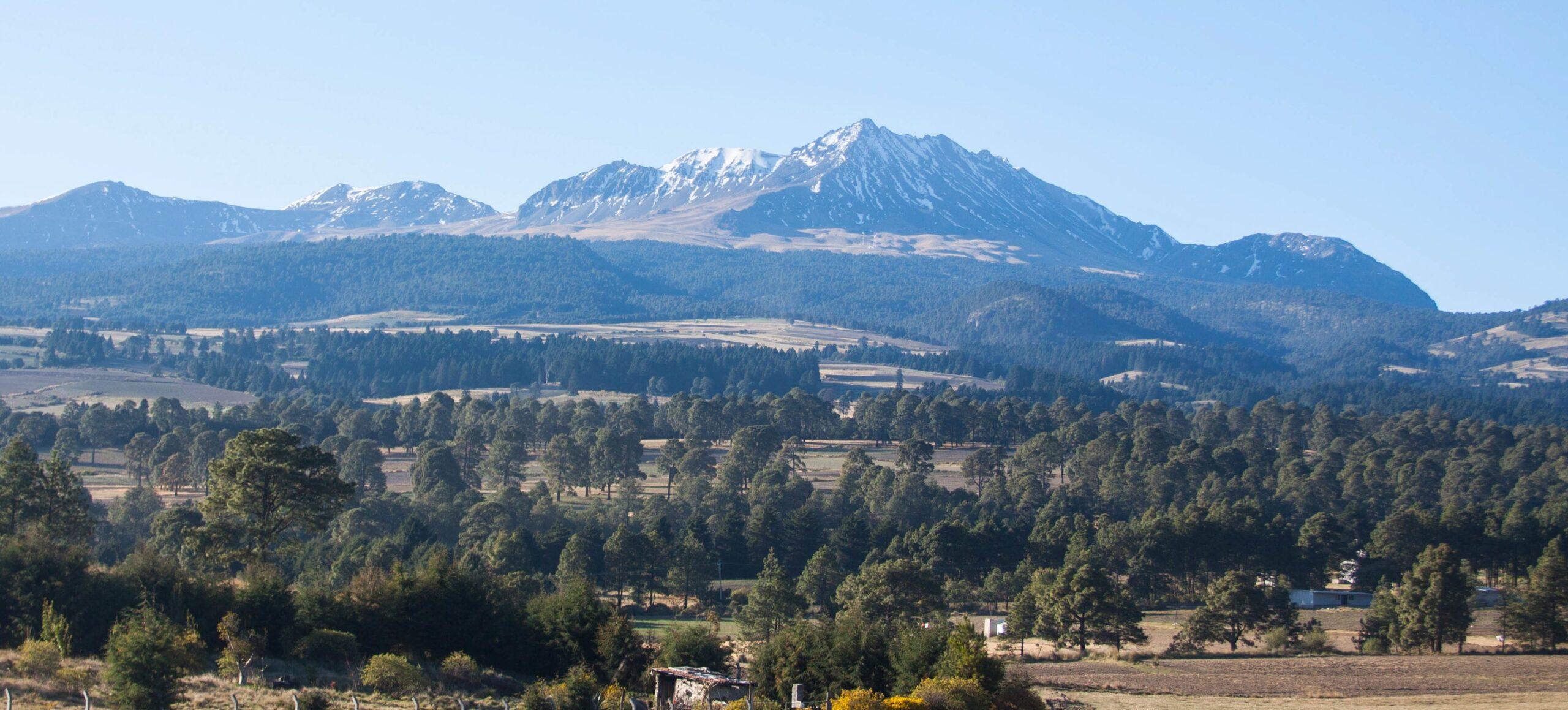 La Semarnat aprueba la tala comercial de 33% del bosque del Nevado de Toluca