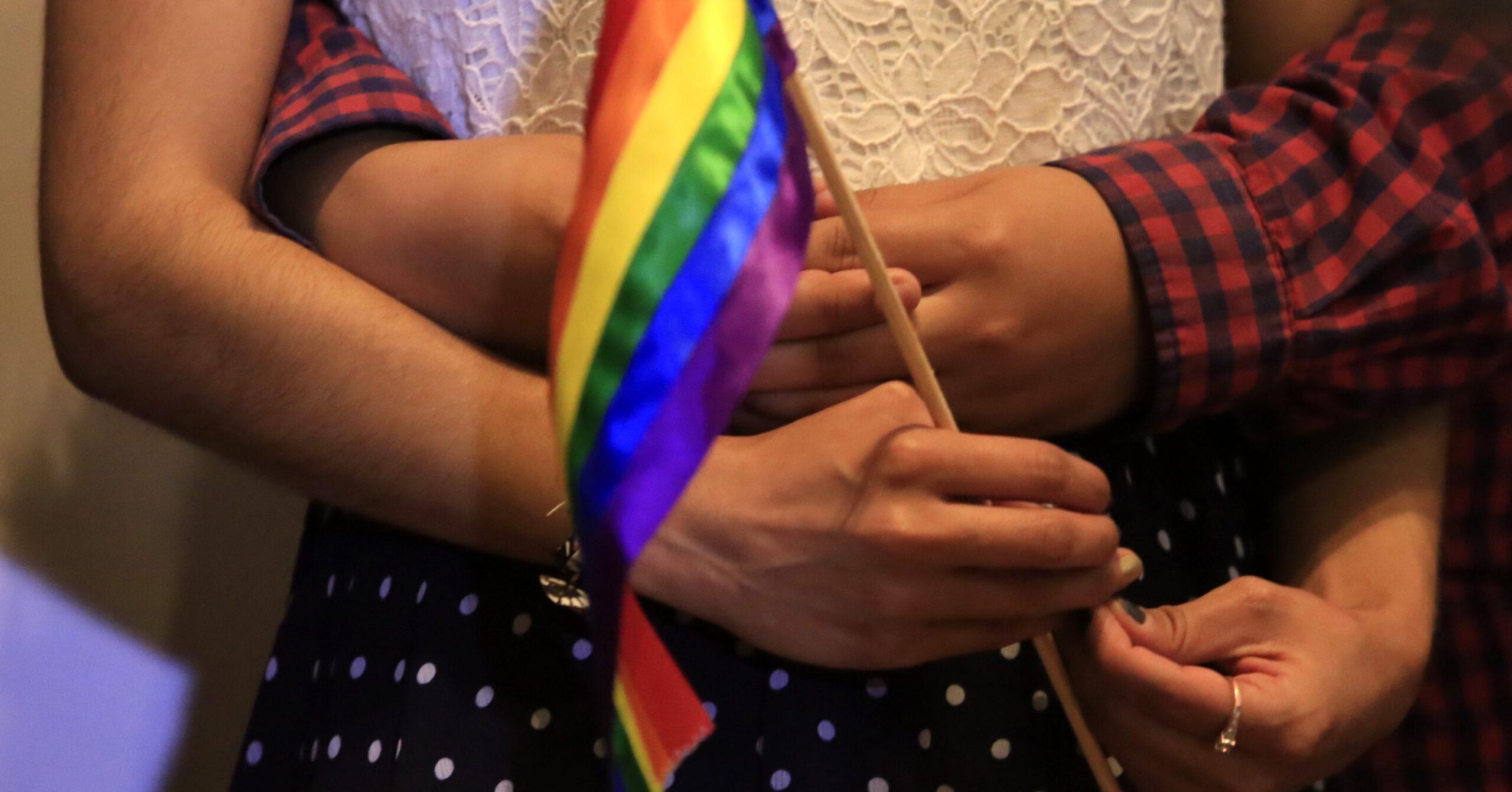 Senado aprueba por unanimidad darle seguridad social a parejas del mismo sexo