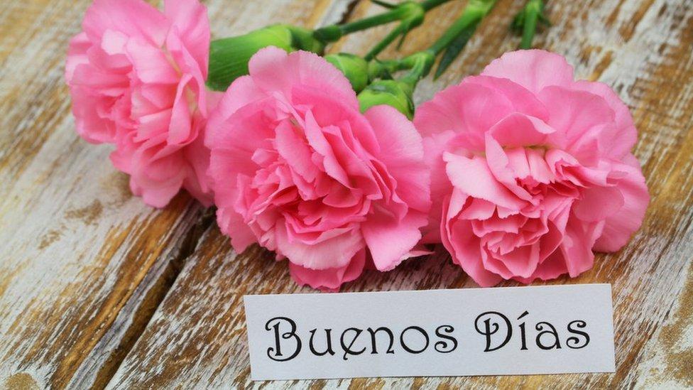 Por qué en español decimos buenoS días o buenas nocheS en plural (y no en singular como las demás lenguas)