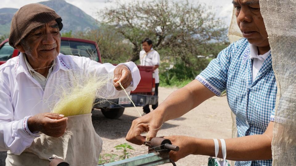 El ixtle, una fibra que está de vuelta como una alternativa ecológica al plástico